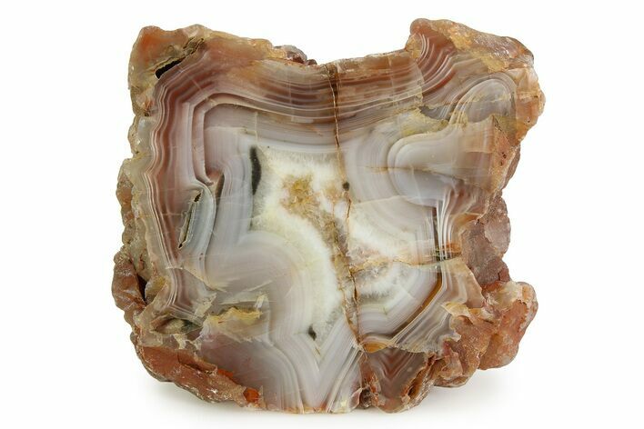 Polished Pilbara Agate Section - Oldest Known Agate #353185